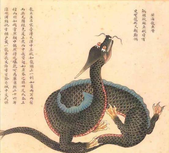 韩国蛇vs中国神龙